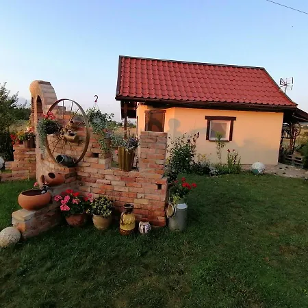 Pod Dachem Goscinne Letniskowy Na Wynajem *